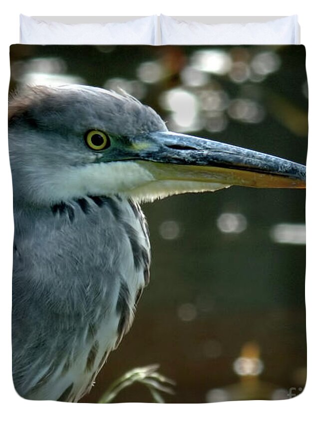 Bird Duvet Cover featuring the photograph Herons Looking At You Kid by Baggieoldboy