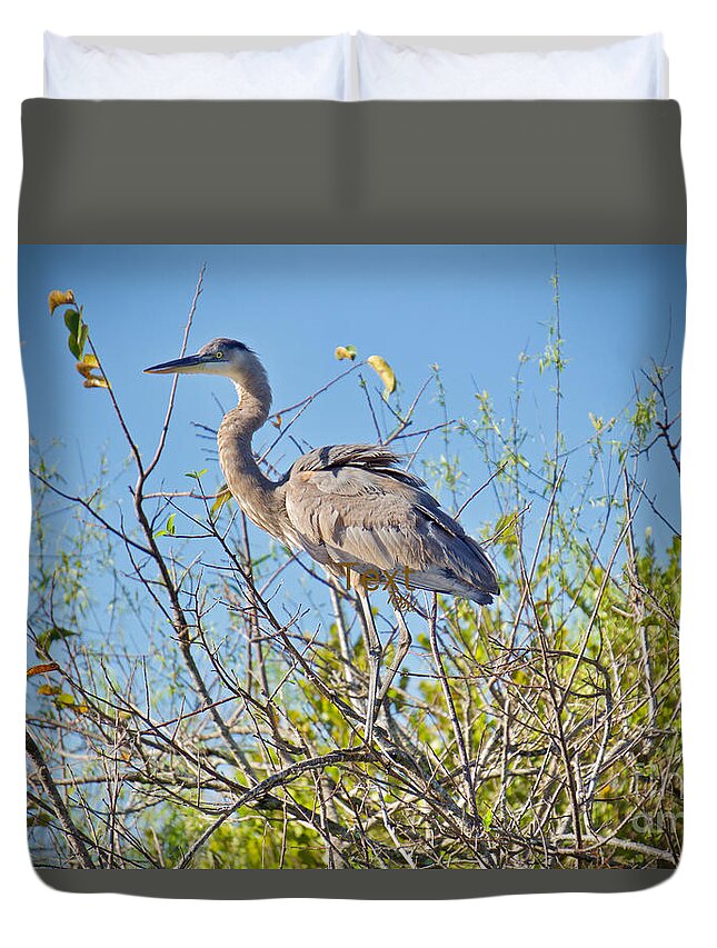 Birds Duvet Cover featuring the photograph Hi-Yo Silver by Judy Kay
