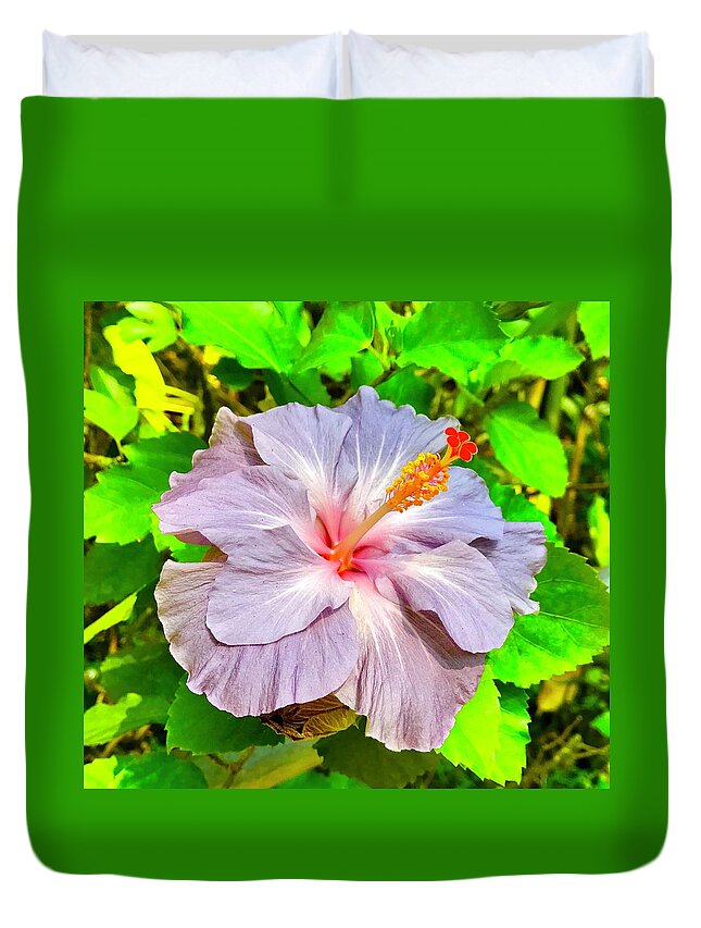 Hibiscus Adele 1 Flowers Of Aloha Lavender Duvet Cover featuring the photograph Hibiscus Adele 1 by Joalene Young