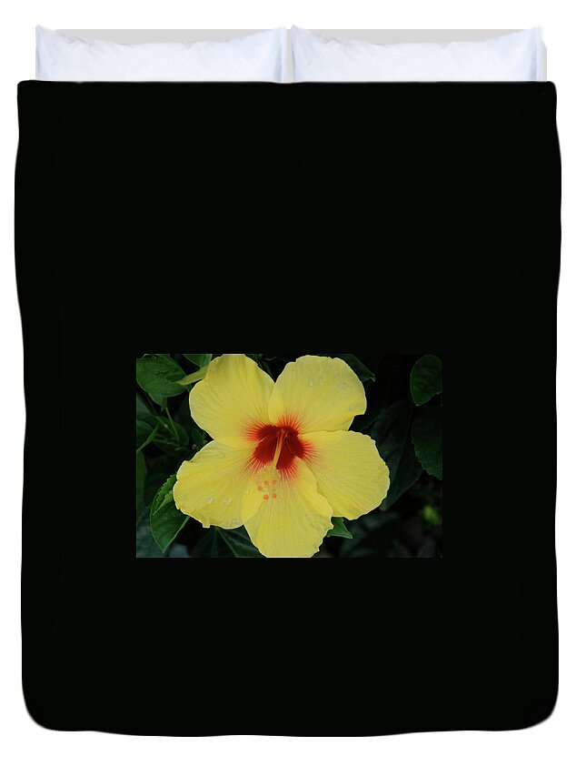 Flower Duvet Cover featuring the photograph Sun Lover Hibiscus by Adele Aron Greenspun