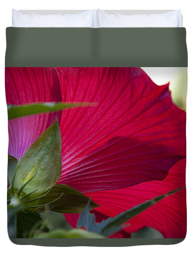 Charles Harden Duvet Cover featuring the photograph Hibiscus by Charles Harden