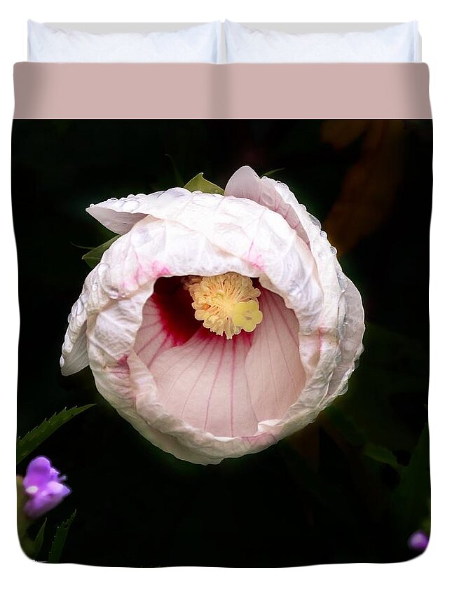 Hibiscus Duvet Cover featuring the photograph Hibiscus in bloom by Jackson Pearson