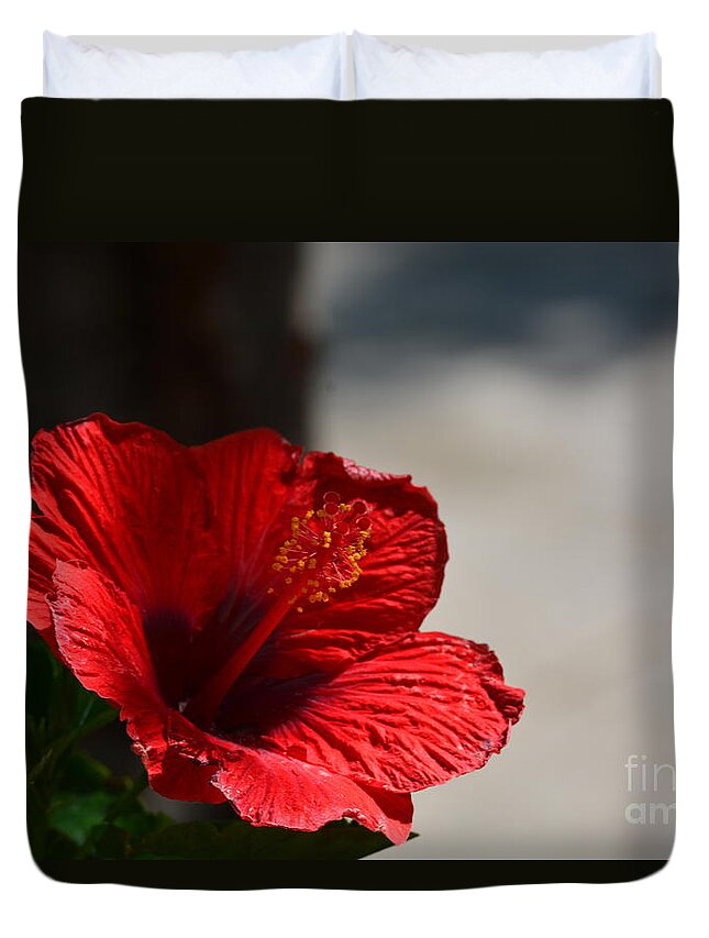 Hibiscus In The Shadows Duvet Cover featuring the photograph Hibiscus in the Shadows by Maria Urso