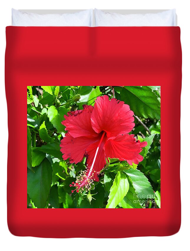 Hibiscus Duvet Cover featuring the photograph Hibiscus by Suzanne Lorenz