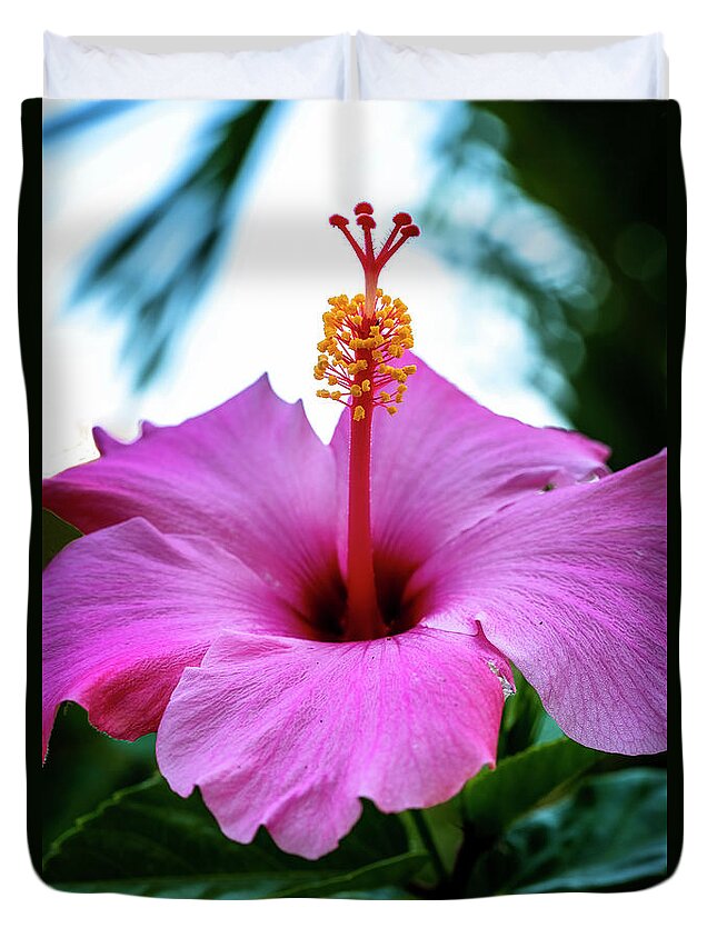 North Port Florida Duvet Cover featuring the photograph Hibiscus by Tom Singleton