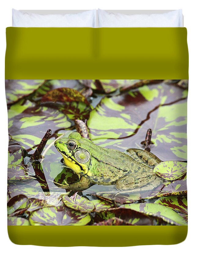 Northern Green Frog Duvet Cover featuring the photograph Can you see me? by Marina Kojukhova