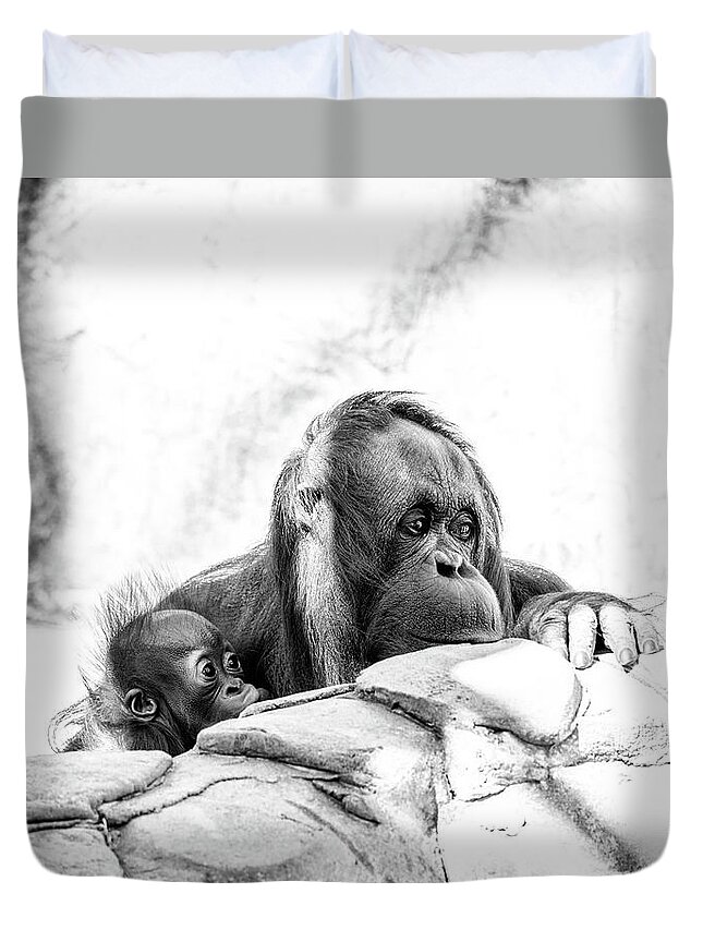 Crystal Yingling Duvet Cover featuring the photograph Hiding by Ghostwinds Photography