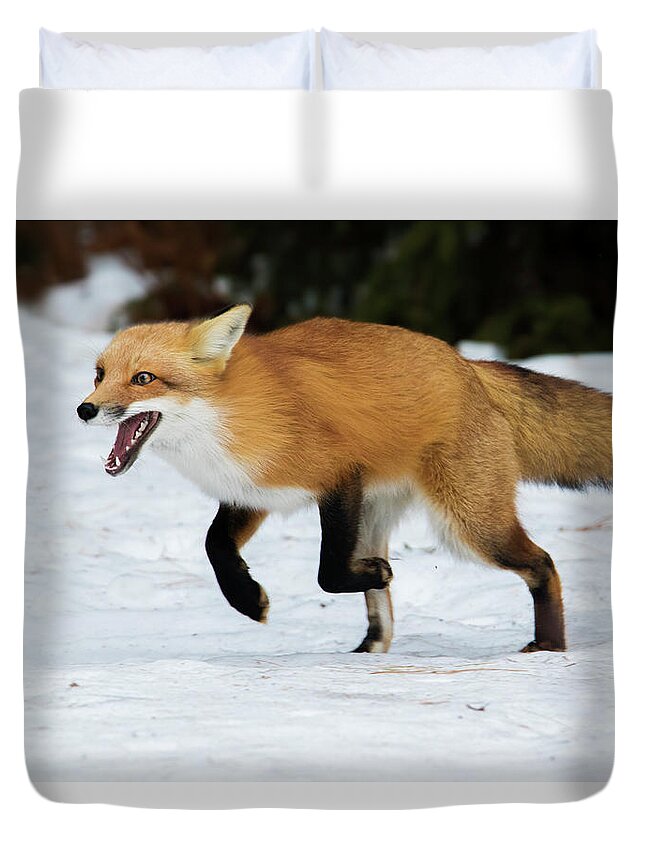 Animal Duvet Cover featuring the photograph High Speed Fox by Mircea Costina Photography