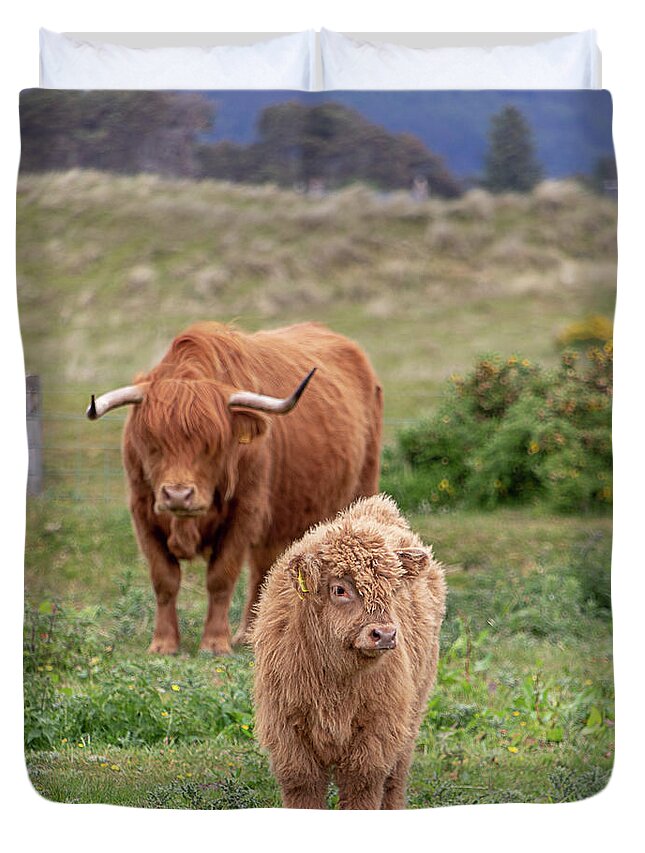 Animal Duvet Cover featuring the photograph Highland Calf and Mom by Teresa Wilson