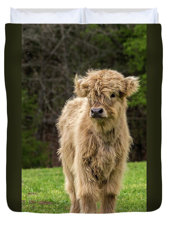 Calf Duvet Cover featuring the photograph Highland Calf by Holly Ross