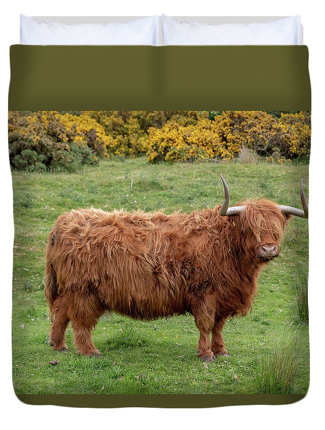 Animal Duvet Cover featuring the photograph Highland Cow 1376 by Teresa Wilson