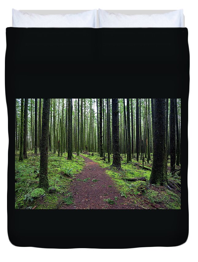 Alex Lyubar Duvet Cover featuring the photograph Hiking Trail in the Forest by Alex Lyubar