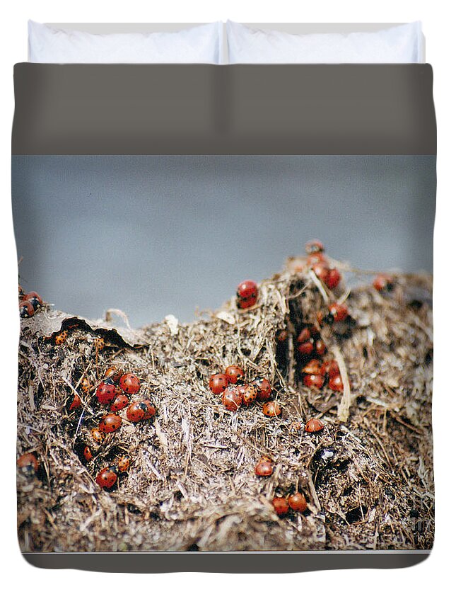 Beach Duvet Cover featuring the photograph Hill Climbing Games by Mary Mikawoz