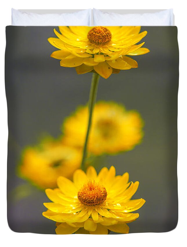 Hillflowers Duvet Cover featuring the photograph Hillflowers by Az Jackson