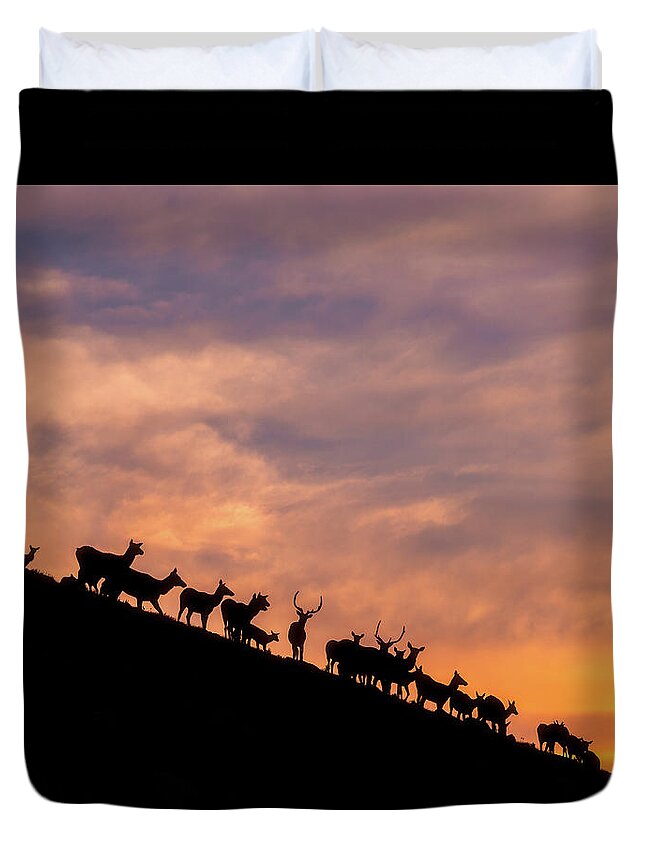 Elk Duvet Cover featuring the photograph Hillside Elk by Darren White