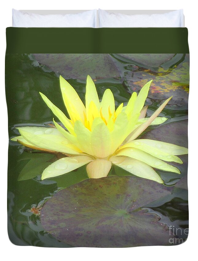 Water Lilly Duvet Cover featuring the photograph Hilo Water Lily 4 by Randall Weidner