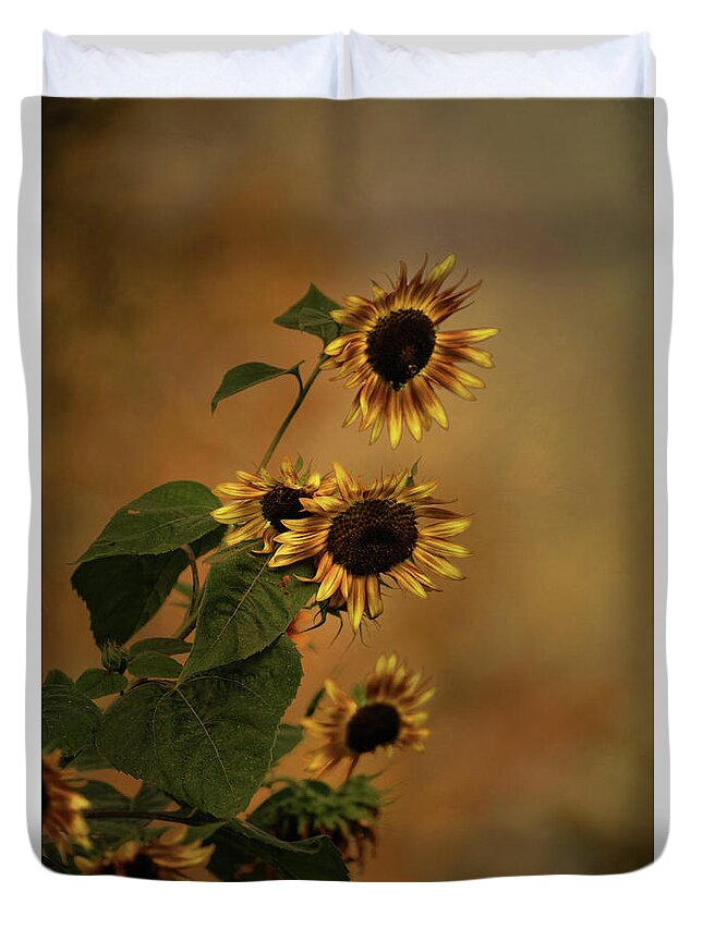 Favorite Duvet Cover featuring the photograph History of Sunflowers by Theresa Campbell