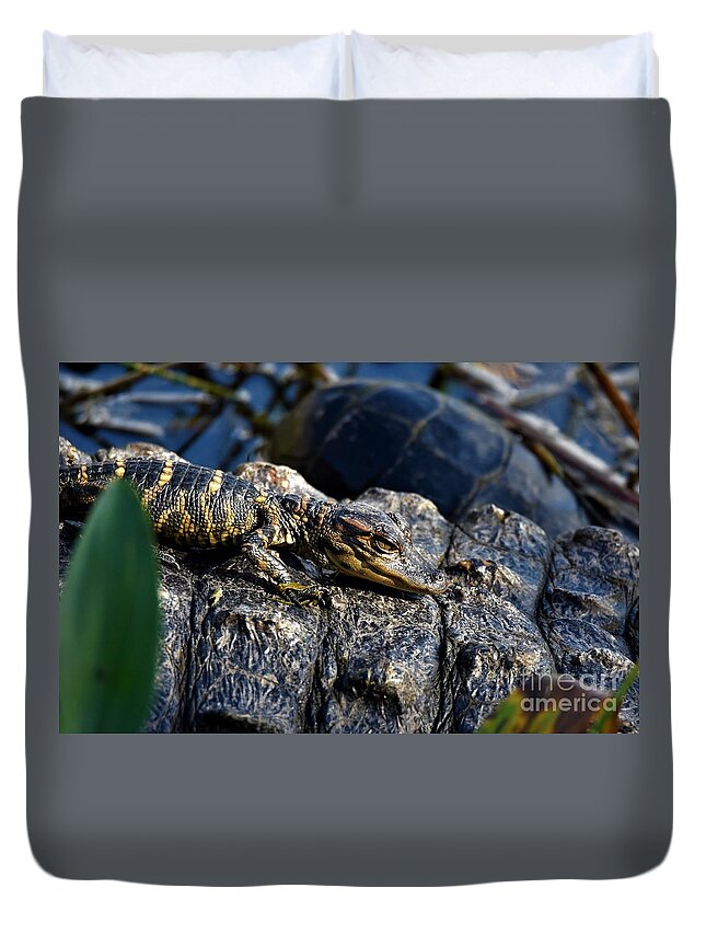 Hatchling Duvet Cover featuring the photograph Hitching A Ride by Julie Adair