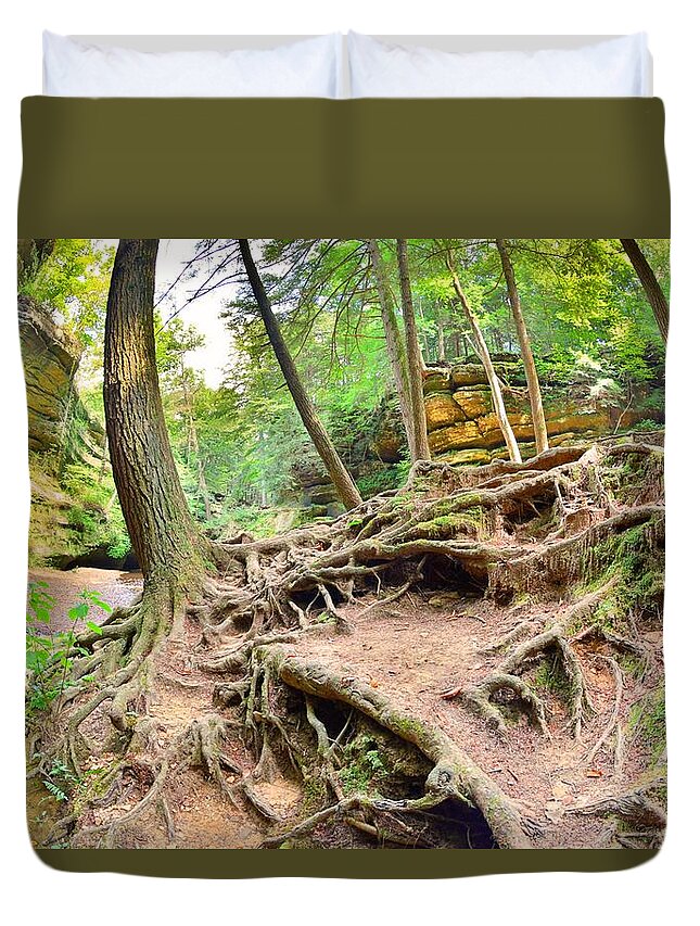 Hocking Hills Ohio Old Man's Gorge Trail Duvet Cover featuring the photograph Hocking Hills Ohio Old Man's Gorge Trail by Lisa Wooten