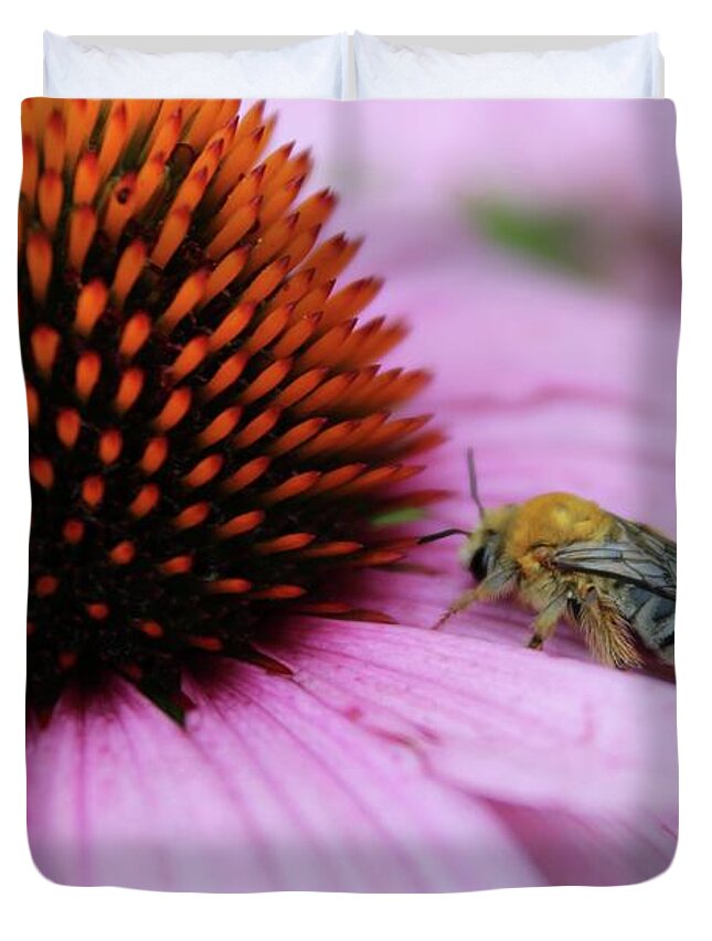 Photograph Duvet Cover featuring the photograph Honey Bee Resting on a Purple Cone Flower by M E