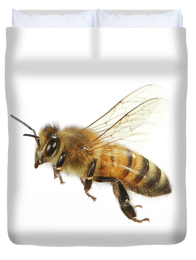 Honey Bee Duvet Cover featuring the photograph Honey bound by Warren Photographic