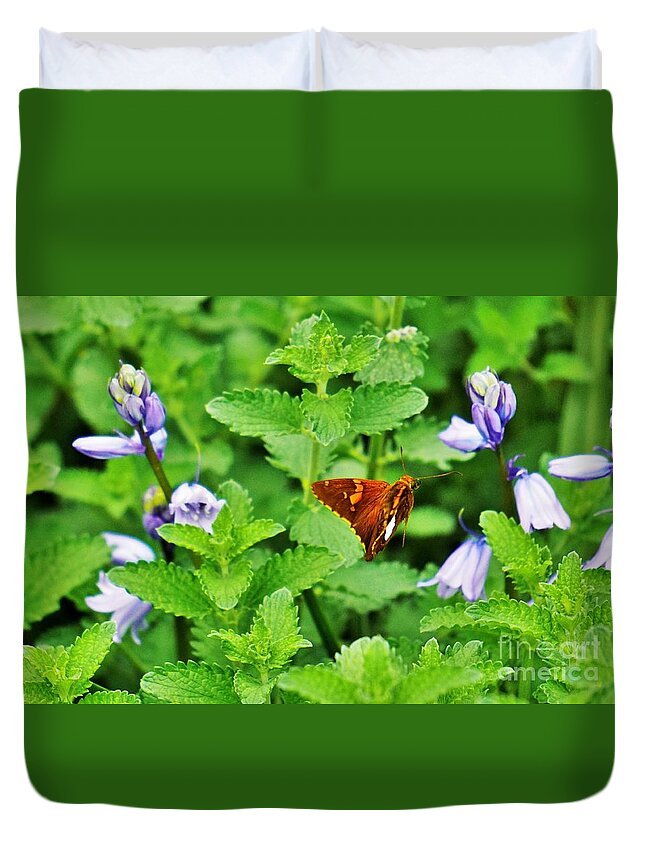 Flowers Duvet Cover featuring the photograph Honing in by Merle Grenz