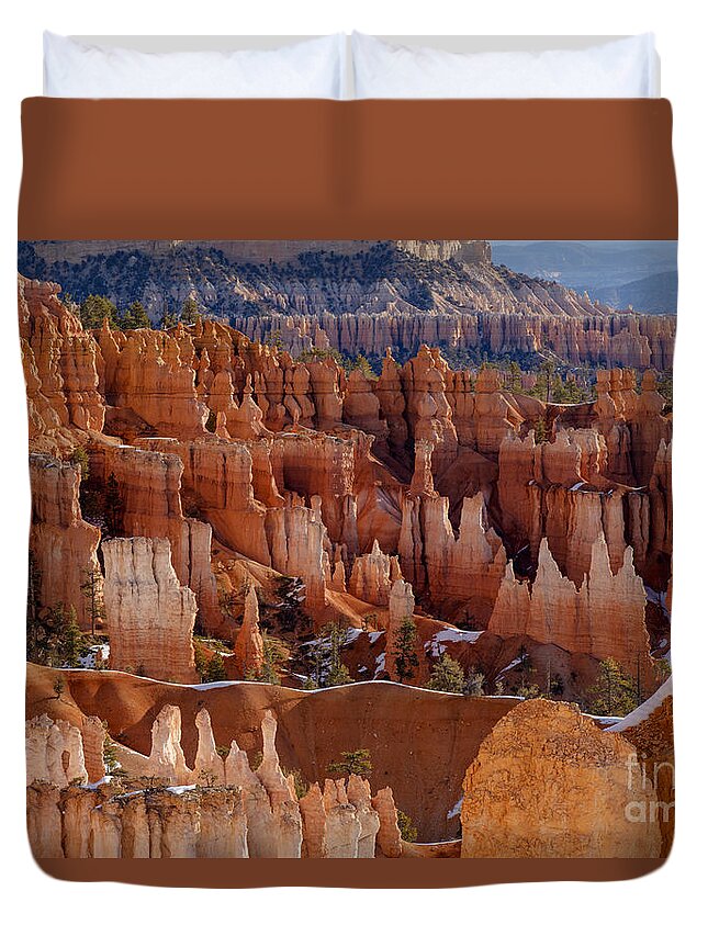 Bryce Canyon Duvet Cover featuring the photograph Hoodoos in Morning Light by Jennifer Magallon