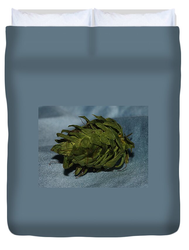 Nature Duvet Cover featuring the photograph Hop I by Robert Morin