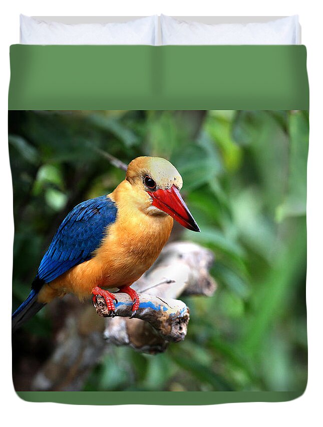  Duvet Cover featuring the photograph Stork-billed Kingfisher by Darcy Dietrich