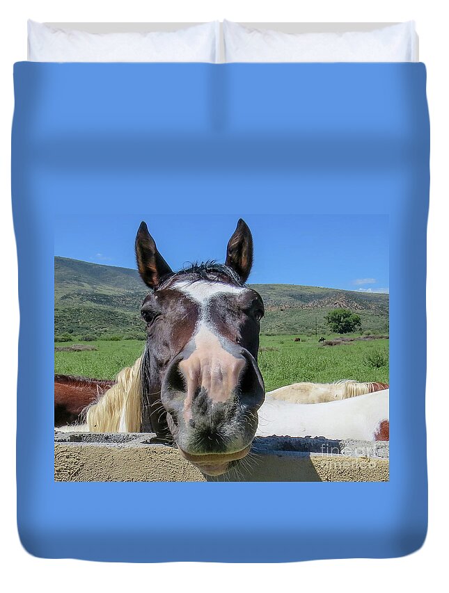 Horse Duvet Cover featuring the photograph Horse 13 by Christy Garavetto