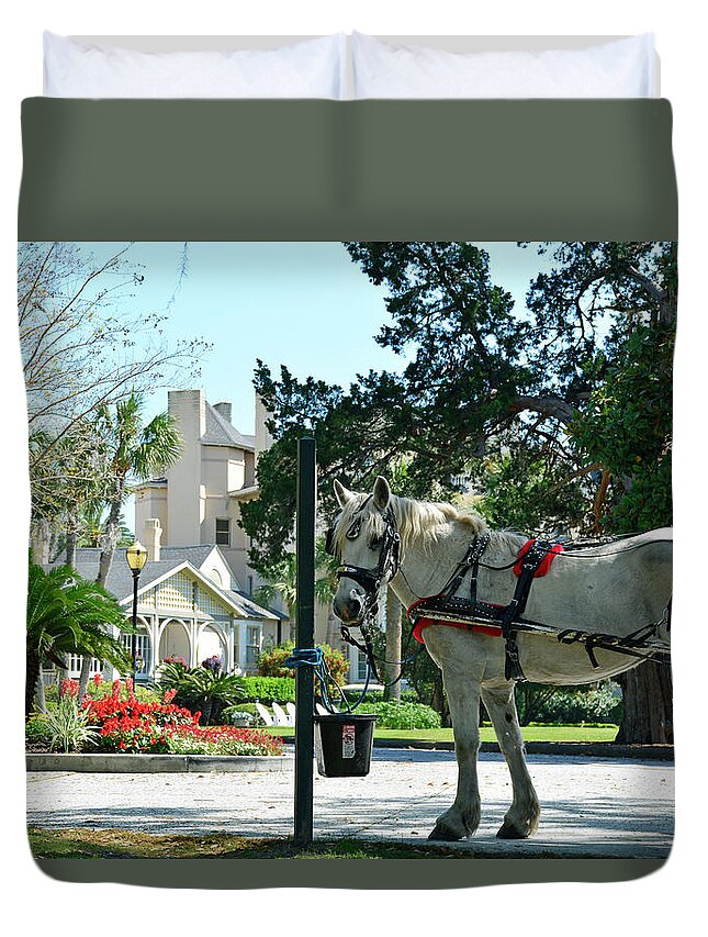 Jekyll Island Duvet Cover featuring the photograph Horse and Jekyll lsland Club Hotel by Bruce Gourley