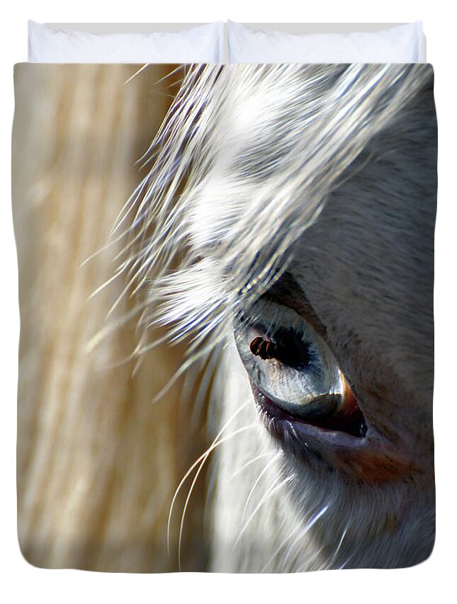 Horse Duvet Cover featuring the photograph Horse Eye by Savannah Gibbs