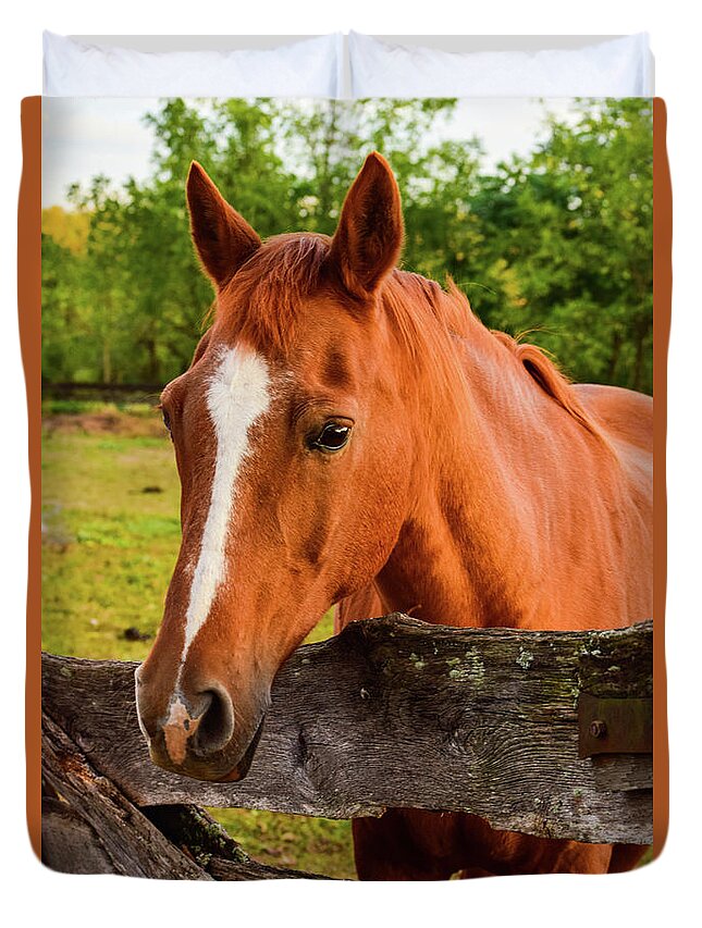 Horse Duvet Cover featuring the photograph Horse Friends by Nicole Lloyd