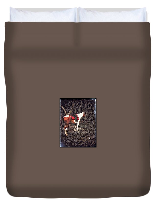 Landscape Duvet Cover featuring the photograph Horse in Red by Christine Paris