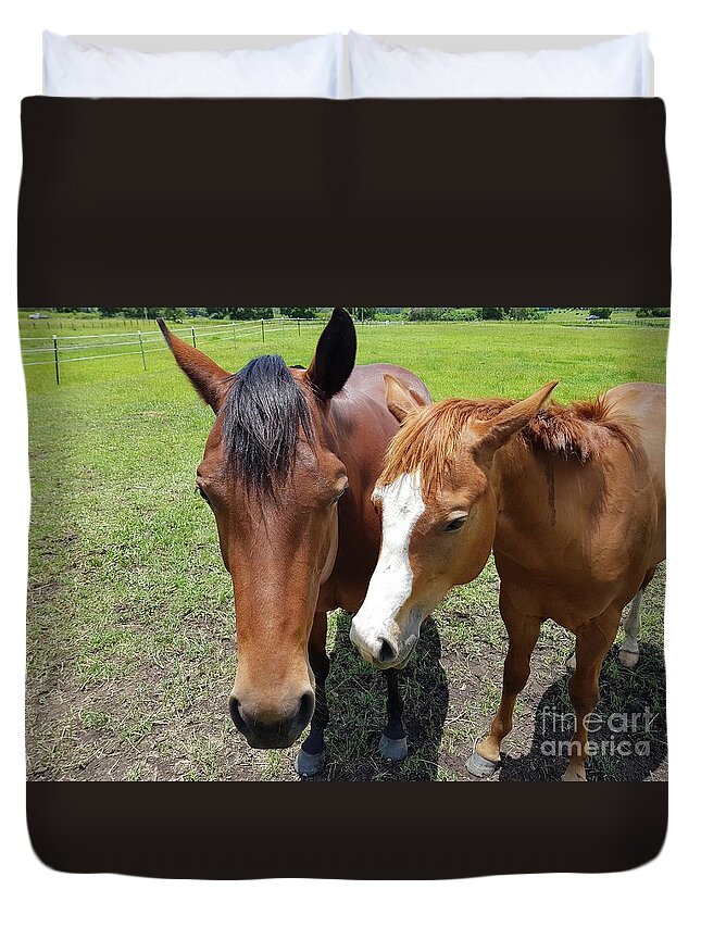 Horse Duvet Cover featuring the photograph Horse Love by Cassy Allsworth
