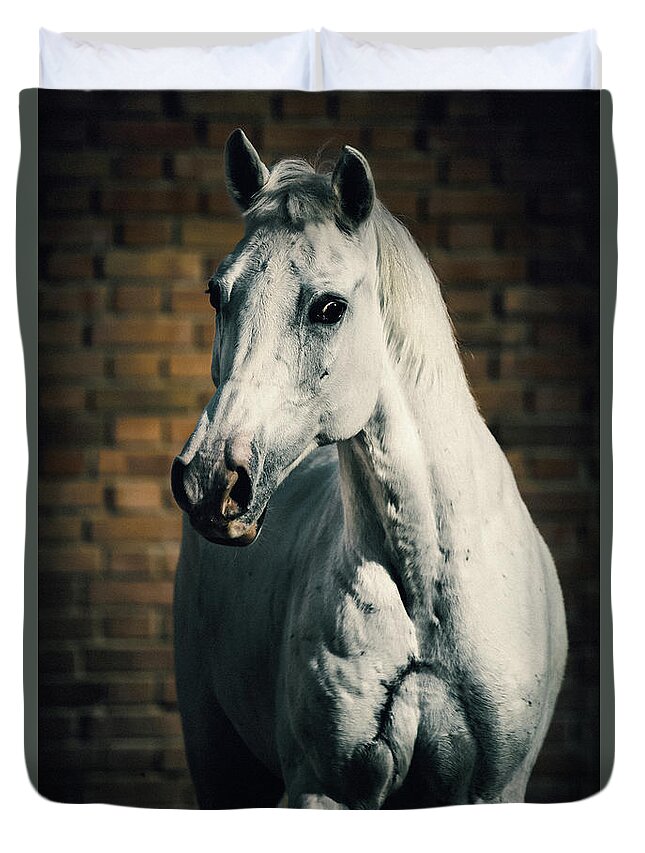 Horse Duvet Cover featuring the photograph Horse portrait on the brick background by Dimitar Hristov