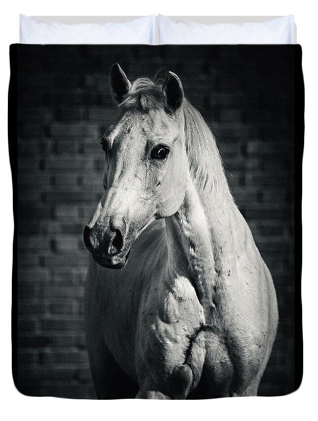Horse Duvet Cover featuring the photograph Horse portrait on the brick background II by Dimitar Hristov