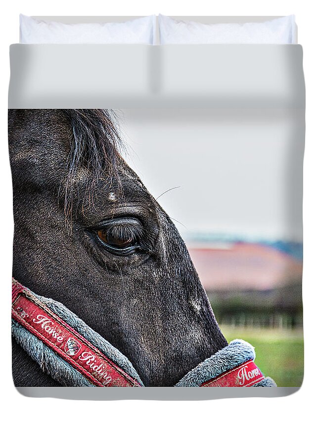 Animals Duvet Cover featuring the photograph Horse Riding Horse by Rabiri Us