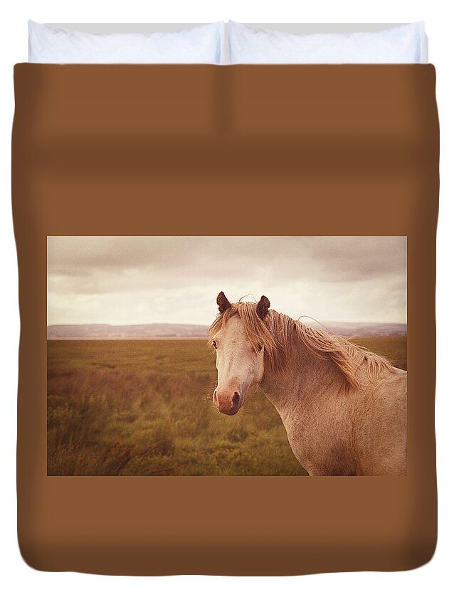 Horse; Retro; Vintage; Animal; Wild; Warm; Sunset; Vignette; Golden; Beautiful; Nature; Landscape; Grass; Moor; Moorland; Clouds; Brown; Countryside; Rural; Light; Pony; Look; Field; Mane; Equestrian Duvet Cover featuring the photograph Wild Horse by Steve Ball