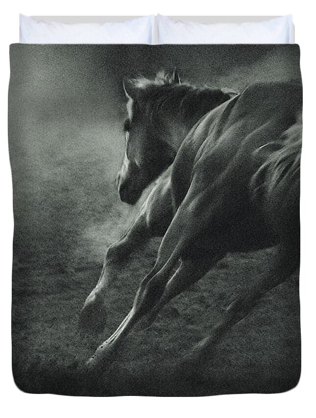 Equestrian Duvet Cover featuring the photograph Horse Trotting in Morning Fog by Dimitar Hristov