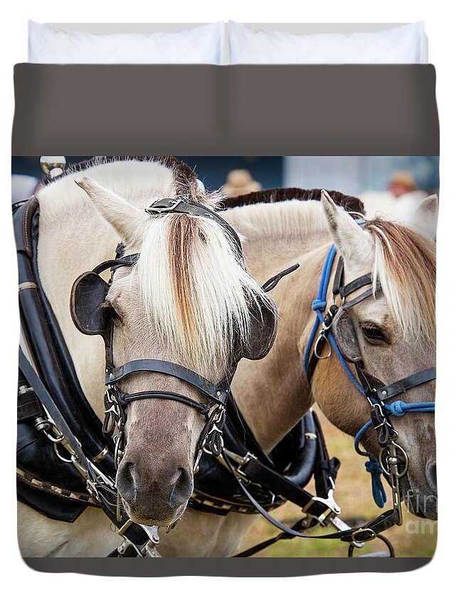 Horse Progress Days Duvet Cover featuring the photograph Horses at Progress Days by David Arment