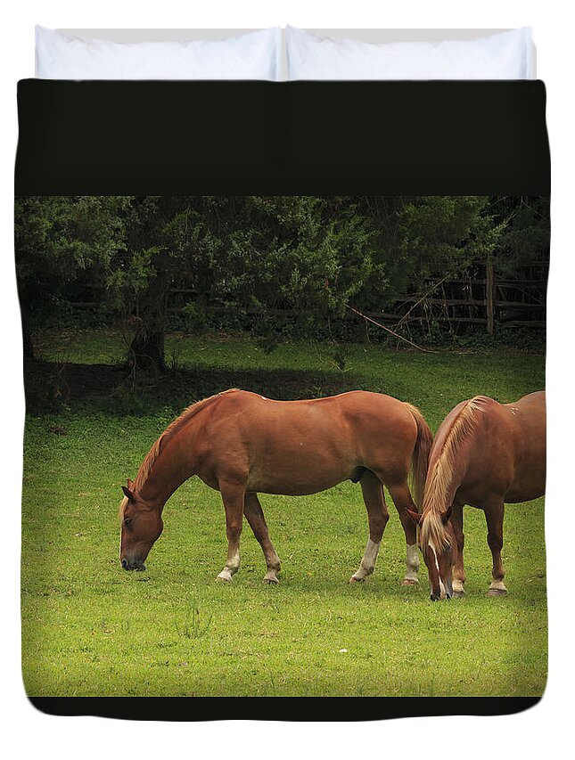 Beautiful Duvet Cover featuring the photograph Horses in a Field by Travis Rogers