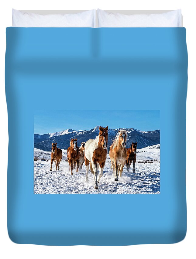 Horse Duvet Cover featuring the photograph Horses in Winter by David Soldano