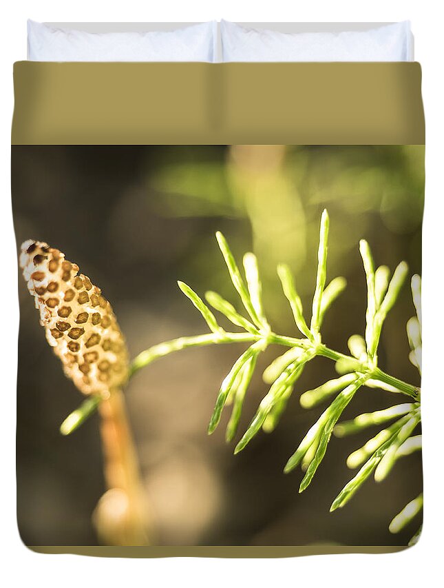 Creamers Field Duvet Cover featuring the photograph Horsetail Life Cycle by Ian Johnson