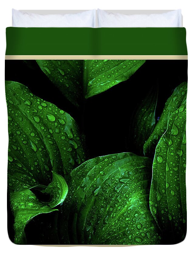 Hosta Succulent Garden Home Perennial Tuber Bulb Water Rain Formation Droplet Drop Morning Dew Fascinating Interesting Dark Background Duvet Cover featuring the photograph Hostas After the Rain I by Leon DeVose