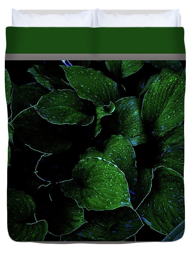Hosta Succulent Garden Home Perennial Tuber Bulb Water Rain Formation Droplet Drop Morning Dew Fascinating Interesting Dark Background Duvet Cover featuring the photograph Hostas After the Rain II by Leon DeVose
