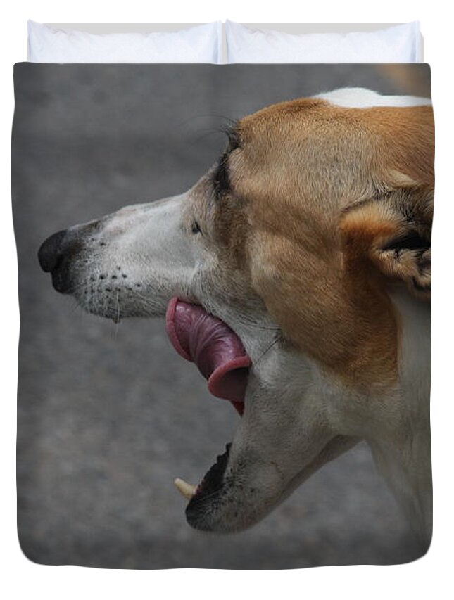 Dog Duvet Cover featuring the photograph Hound Portrait by Vadim Levin