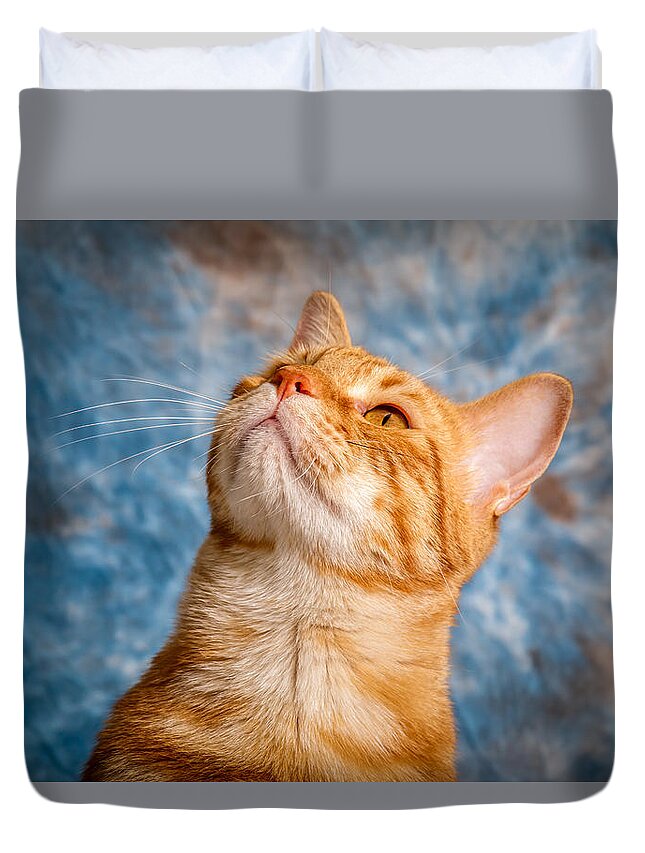 Animal Duvet Cover featuring the photograph House Cat by Doug Long