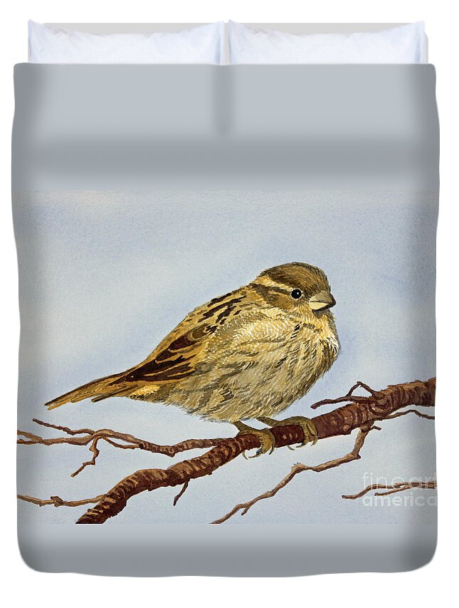  Sparrow Duvet Cover featuring the painting House Sparrow by Norma Appleton