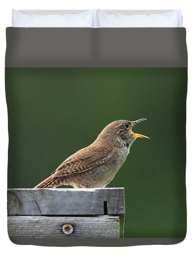 House Wren Duvet Cover featuring the photograph House Wren Stony Brook New York by Bob Savage